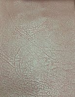 eko_koza_037
